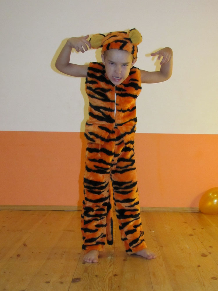 Костюмы для мальчиков - Тигра
